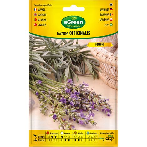 Graines De Lavande Officinale Agreen Culture Facile, Parfum Apaisant - Agreen (1/2)