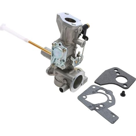 AIDUCHO Carburateur Pour Briggs & Stratton 498298 495426 692784 495951 W (1/5)