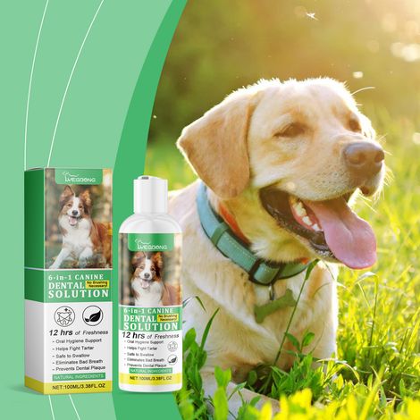 Soin bucco-dentaire pour chiens d'eau : nettoie les dents, élimine la plaque dentaire et les mauvaises odeurs, et procure une fraîcheur longue durée – 100 ml (1/5)