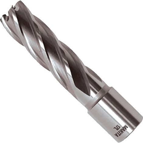17L Punta magnetica, 17 x 50 mm, M2, HSS