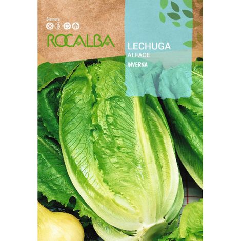 Rokalba Seeds Lewh