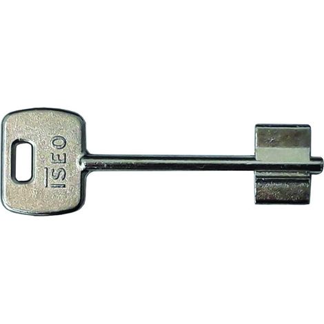 Chiave Grezza Doppia Mappa 990802 - 5 pz