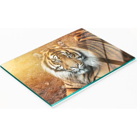 Tabla de cortar y servir decorativa de cristal con diseño de tigre de Bengala, 80x52 cm. (1/5)