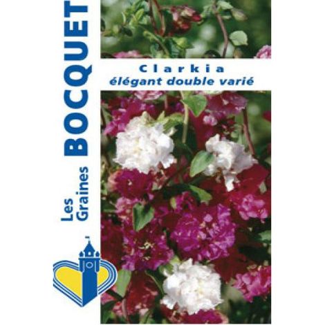 Clarkia le sachet de 3850 graines (1,5g) (1/2)