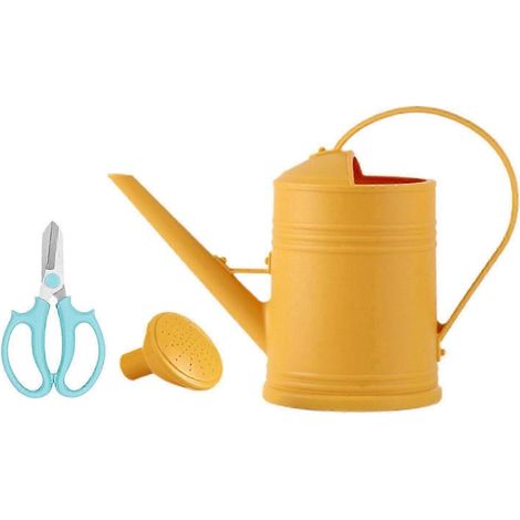2-Liter-Gießkanne mit abnehmbarer Düse – robustes Gartengerät zum Bewässern von Pflanzen und Blumen.-yellow (1/5)