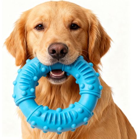 13cm Jouet Indestructible, Jouet Indestructible en Caoutchouc pour Mâcher Fort, Jouets À Mâcher pour Petits, Moyens Et Grands Chiens (1/5)
