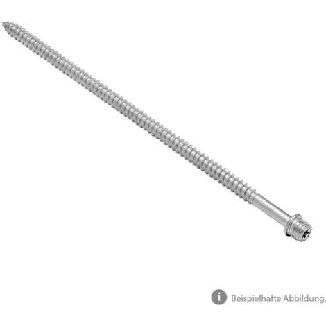 Zambelli verzinkter Schraubstift selbstfurchend M10/250 mm für Meister-Schelle, 127613-250