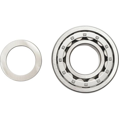 Cuscinetto trasmissione per Fiat, New Holland, Case IH codice OEM 5125376, 5138660 Breckner Germany (1/3)