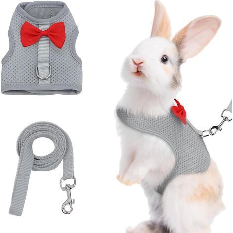 Dwarf Rabbit Harness, Adjustable Leash, Breathable Mesh, Small Animal Collar, Gray (1/5)