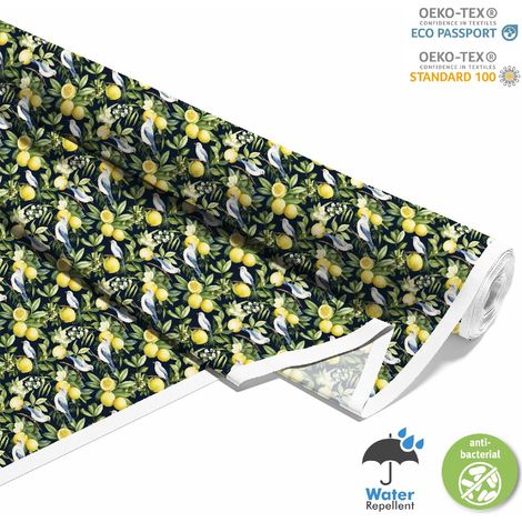 Outdoor dekostoffe oxford - Motiv Obst DX6940 (1/5)