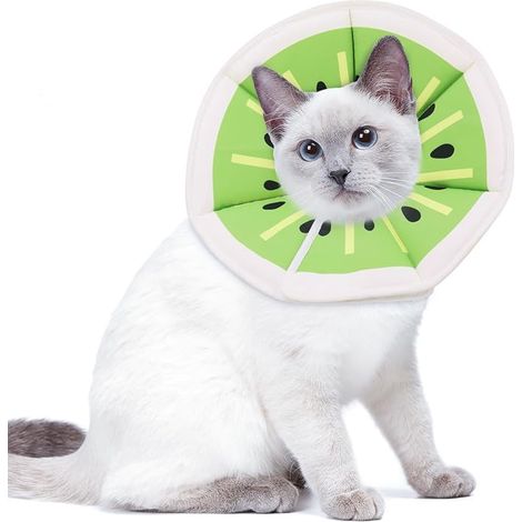 Adjustable Cat Collar, Cat Protection Collar, Recovery Collar, Soft Neckband, Convalescent Cones for Kittens (1/5)