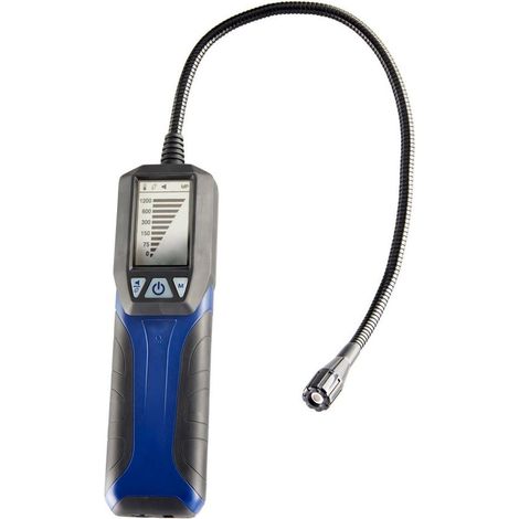 Détecteur de gaz GS 300