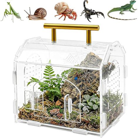 Terrarium à Insectes, Vivarium, Terrarium en Acrylique, boîte d'alimentation pour Reptiles, araignées sauteuses, Geckos, escargots, Grenouilles (1/5)