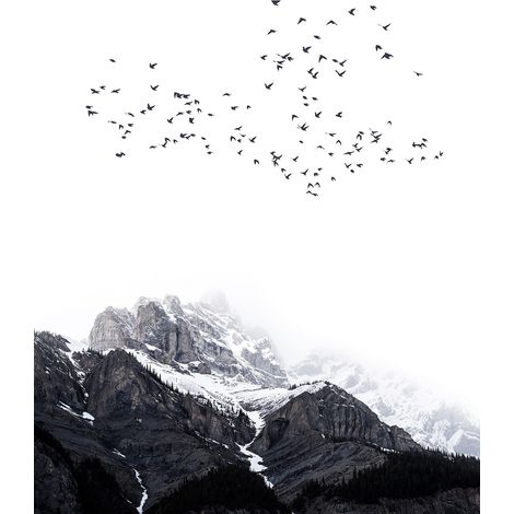 Papier peint panoramique montagne Tapisserie panoramique noir et blanc pour chambre Papiers peints panoramiques ciel et oiseaux (1/2)