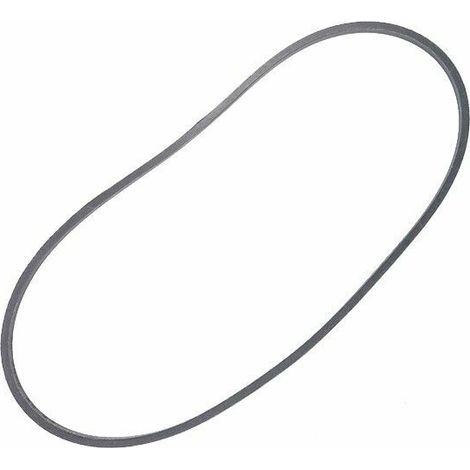Courroie tondeuse thermique 875mm – Modèle Royal 49S BBC – Remplace 531007547 – 589534801 (1/2)