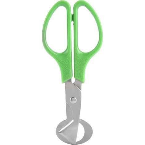Pilon à Purée en Acier Inoxydable pour Légumes et Fruits, Ustensile de Cuisine Manuelle pour Préparation Alimentaire Maison (1/5)