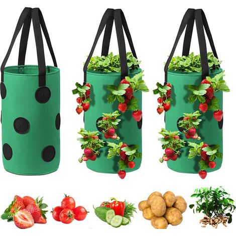 Sac de culture suspendu pour plantation de tomates et fraises, jardinière de légumes à l'envers avec 12 trous de culture, 20x35cm, 3 pièces (1/5)
