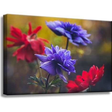 Leinwanddruck Botanik Wildblumen 60x40 cm