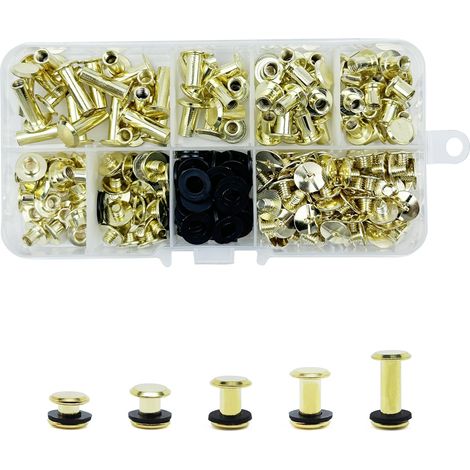 100 Vis Chicago Screws,Rivet a Visser, M54/6/8/10/15 mm Tailles Vis de Livre, Rivet Cuir vis Métal Clou Rivets bouton Chicago pour Bricolage Livre, Album Photo,laisses,sacs à dos (Or) (1/5)