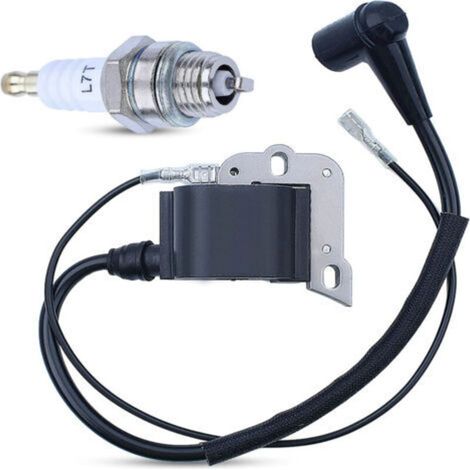 Le pack haute tension de bobine d'allumage convient aux modèles 50 51 55 254 61 266 268 272 (1/4)