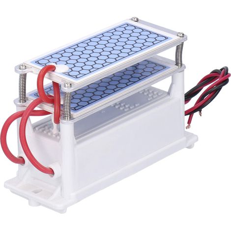 Générateur d'ozone 20 g/h 110 W, machine à décharge par brosse, purificateur d'air, alimentation industrielle 110 V CA (1/5)