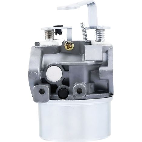 Carburatore per spazzaneve HM80 e HM100 modelli 640260, 632689 e 640023 - Altri (1/3)