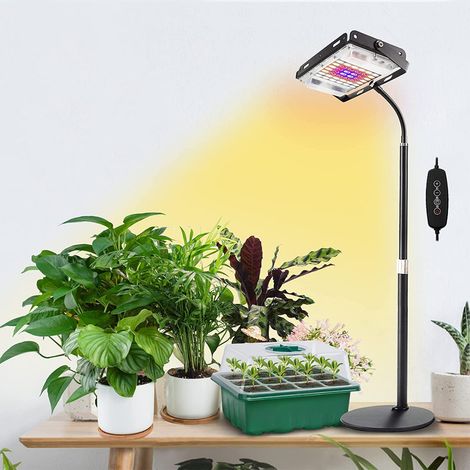 Ortviai Lampe de croissance pour plantes LED à spectre complet avec support réglable – idéale pour succulentes et plantes d’intérieur (1/4)