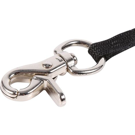 Table de Toilettage pour Chien et Chat avec Bras Réglable, Harnais de Restriction et Boucle d'Attache L (1/4)