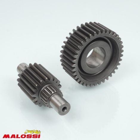 Malossi Getriebe Hinterachse für Motorrad honda 250 jazz nach (1/2)