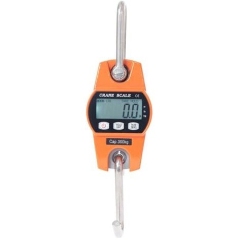 Balance Crochet Suspendu 300kg - Peson Electronique LCD Industriel 300kg/600lbs (1/5)