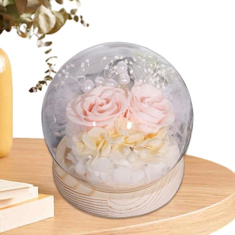 Fleurs Préservées Sous Cloche En Verre Décoration Romantique de Table pour  Fleurs Éternelles avec Cloche Décoration Saint-Valentin, Anniversaire, Noël, Mariage Pour Elle, Ami (1/5)