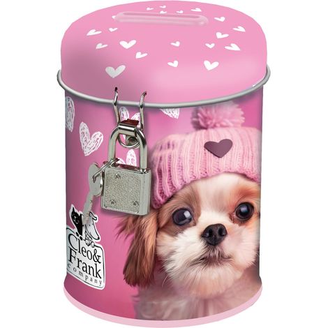 Salvadanaio con lucchetto Cucciolo rosa deforme
