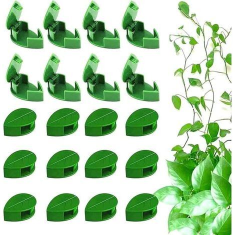 50 Pièces Clips de Fixation Auto-Adhésifs pour Plantes Grimpantes – Support Invisible pour Murs, Treillis et Structures Végétales (1/5)