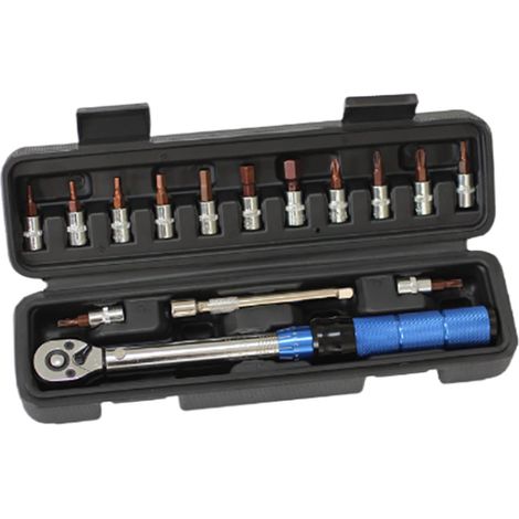 1/4"-Drehmomentschlüssel-Set für Rennräder und Mountainbikes, Inbusschlüssel, Steckschlüssel, Verlängerung (1/5)