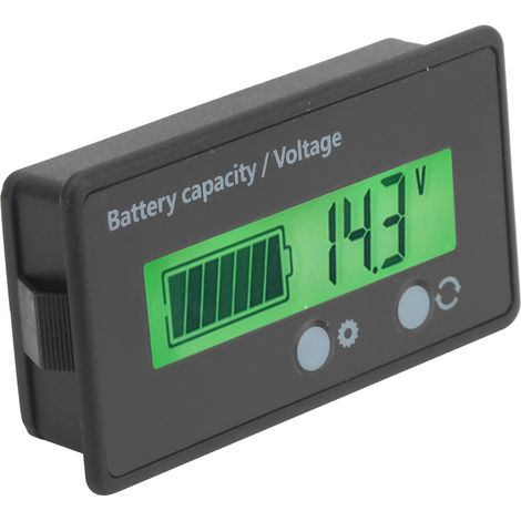 Indicateur de Niveau de Batterie 12V-100V avec Affichage LCD et Rétroéclairage Vert (1/5)
