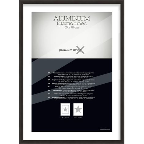 Mömax Bilderrahmen Aluminium ca. 50x70cm (1/3)