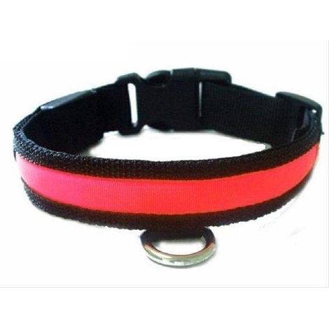 Collier pour chien LED, rouge, taille M