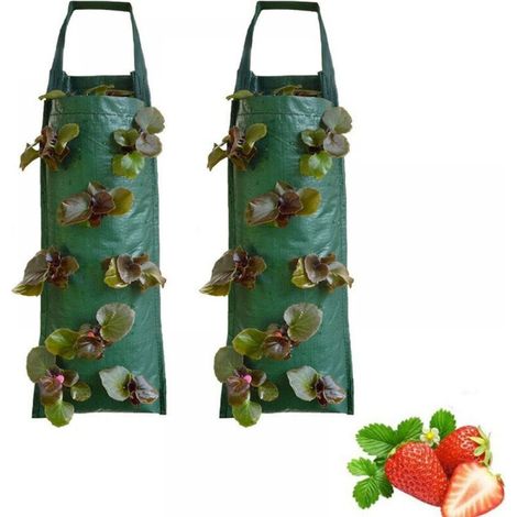 Sacs de culture de fraises (2 pièces incluses) Sacs de culture suspendus pour plantes/herbes/fleurs/légumes (vert) (1/5)