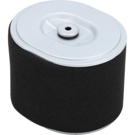Filtre à air pour tondeuse Honda GX390 – Remplacement direct – Matériaux plastiques et métalliques – Taille 12 x 9 cm (1/5)