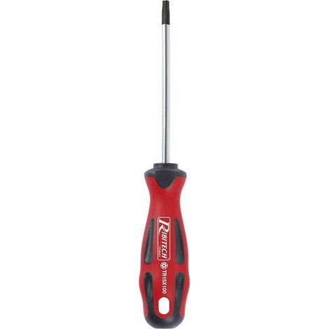 Tournevis Torx T15 5x100 - Aimanté - Précision et Efficacité - Acier Traité - D-Work