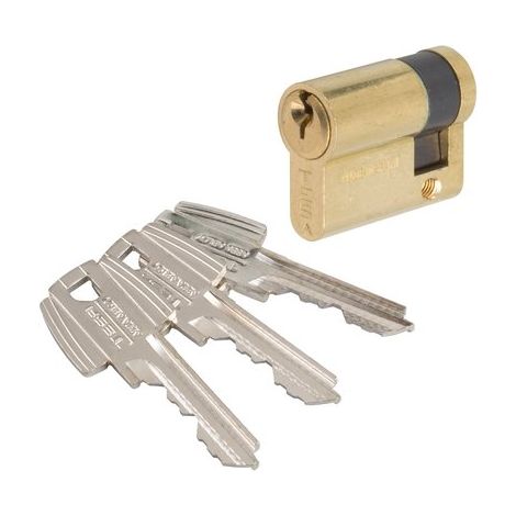 Cylindre demi te 5 - A : 30 - Longueur : 30x10 - Finition : Laiton - TESA SECURITE