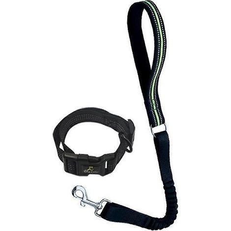 Filiyano-Ensemble collier et laisse pour chien, collier et laisse en nylon pour chien, couleur unie classique (1/5)
