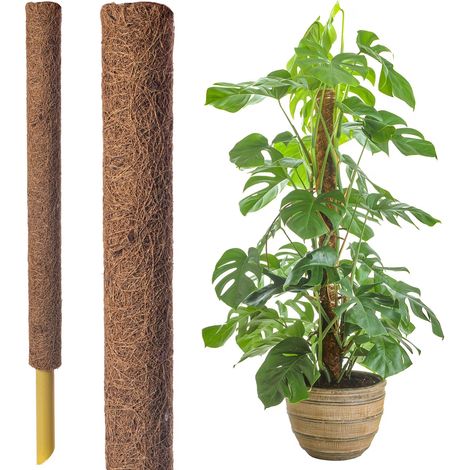 5pcs Un poteau d'escalade de plante - un support de jardin pour les plantes, adapté pour Pothos et les plantes d'escalade (1/5)