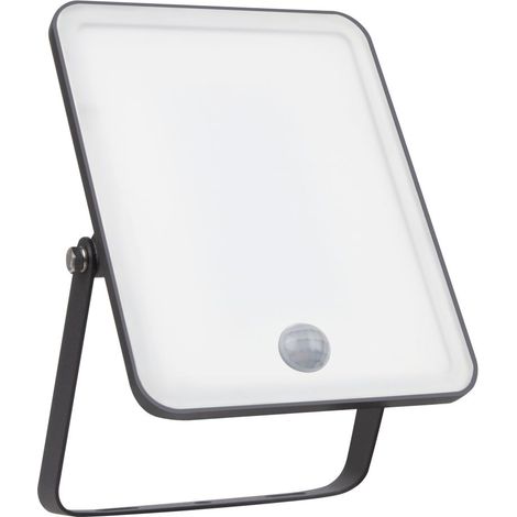 Ledvance LED Außenleuchte Flood Essential 30 Watt Sensor schwarz Außenwandleuchte
