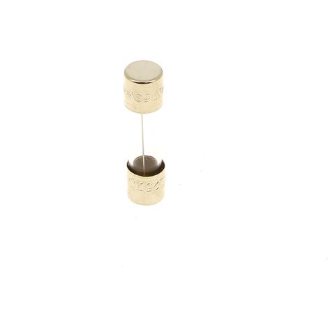 Fusibili t2 5a ( per 10 ) 7404396 per caldaia viessmann