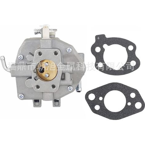 Briggs & Stratton Rasenmäher-Vergaser 808249 809008 807832 807936 294442 294447 (1/5)