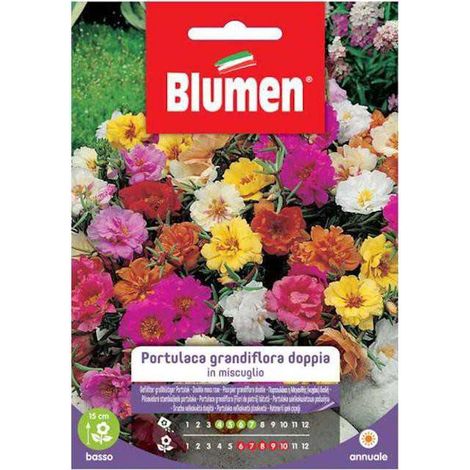 SEMI PORTULACA GRANDIFLORA DOPPIA BLUMEN