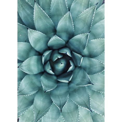 Tableu fleur bleu vert idéal pour chambre adulte | Tableau motif plante pour couloir | Tableau sur toile vert idéal déco salon - 0,5 x 0,7 m (1/2)