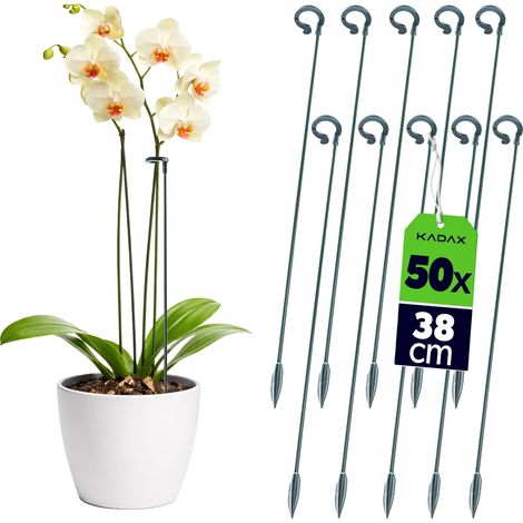 Soporte para plantas, materiales duraderos, uso versátil, verde claro. (1/5)