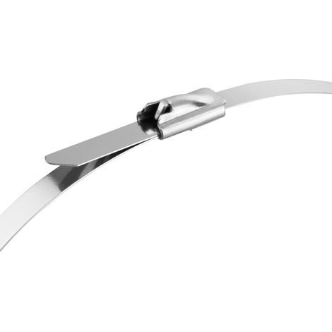 REV Ritter 0508238555 - Fascette in metallo, 200 x 4.4 mm, 10 pezzi, in acciaio inox (1/4)